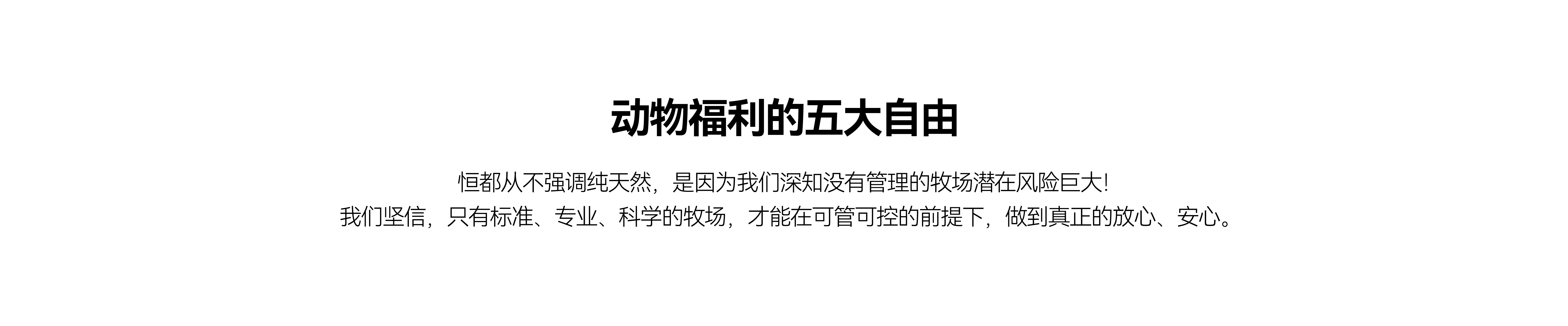 恒都牧场原生态养殖基地风光