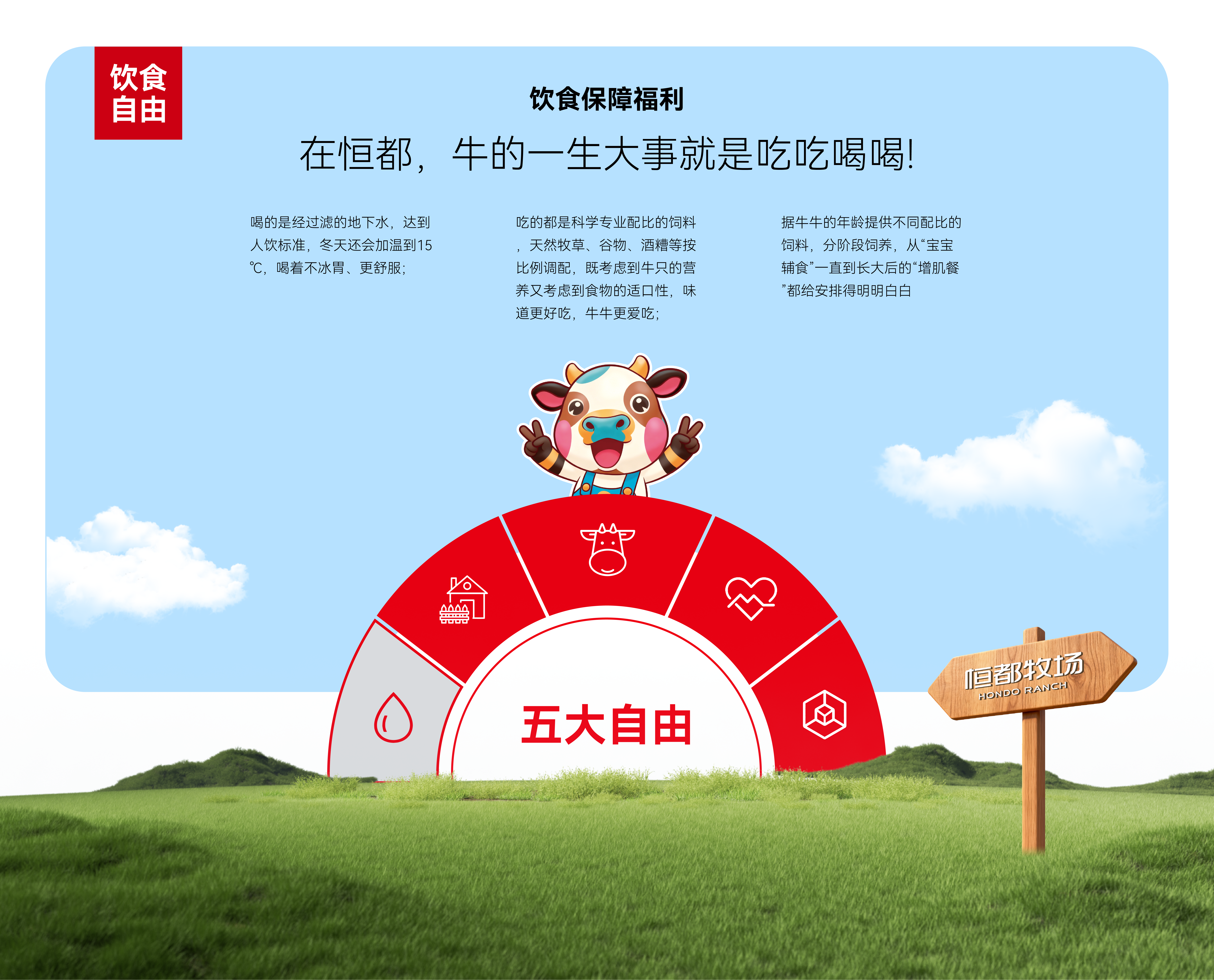 恒都肉牛五大自由保障标准展示