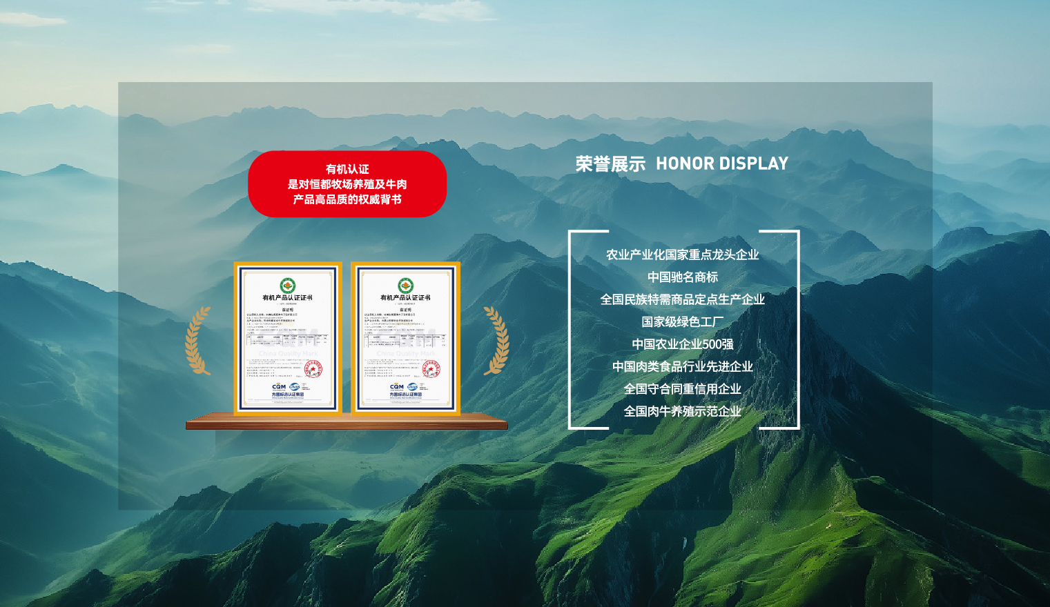 恒都农业集团-奖项荣誉