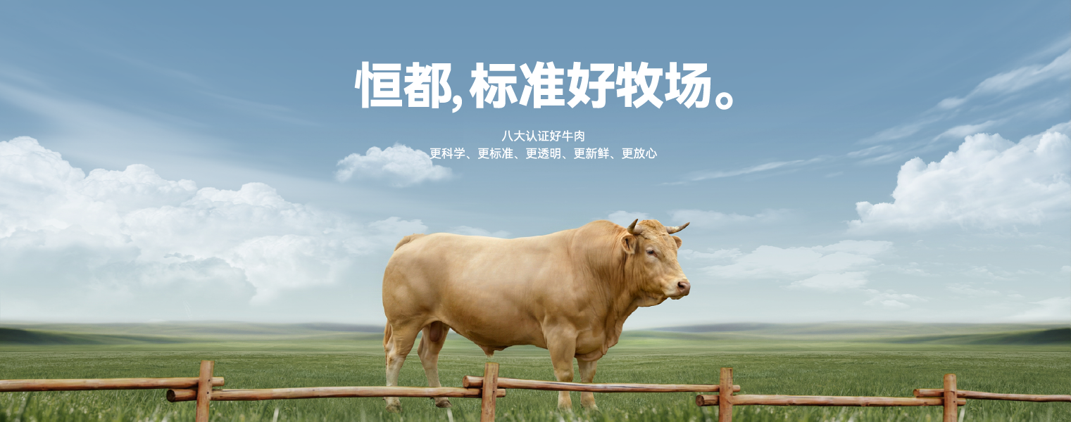 恒都农业集团-品牌轮播图