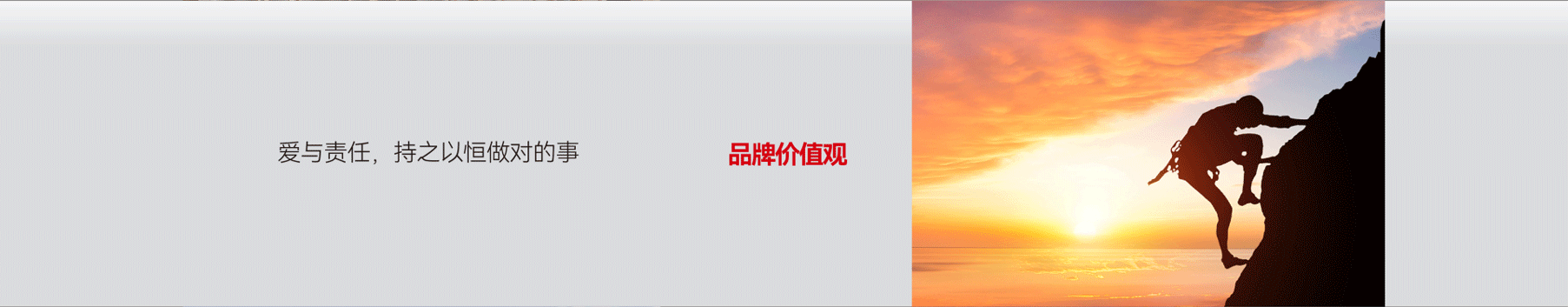 恒都农业集团企业风貌展示