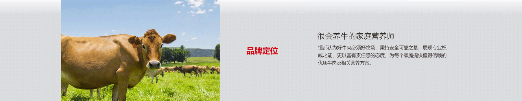 恒都农业集团企业风貌展示