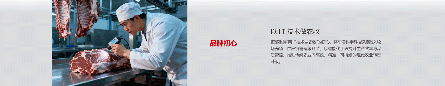 恒都农业集团企业风貌展示