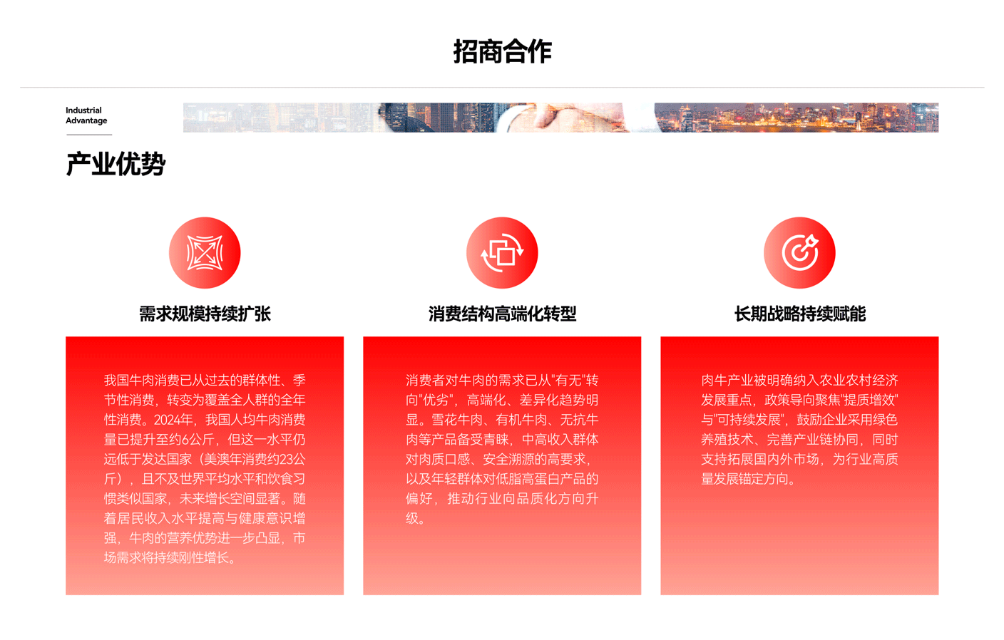 恒都招商合作项目展示