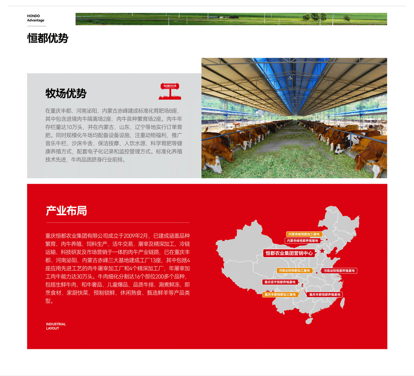 恒都招商合作项目展示