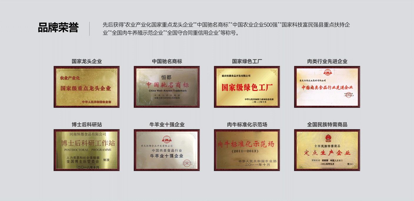 恒都招商合作项目展示