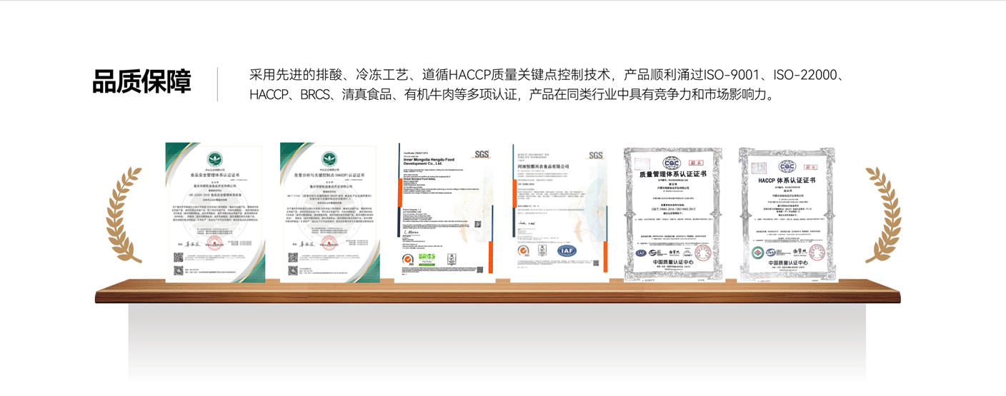 恒都招商合作项目展示
