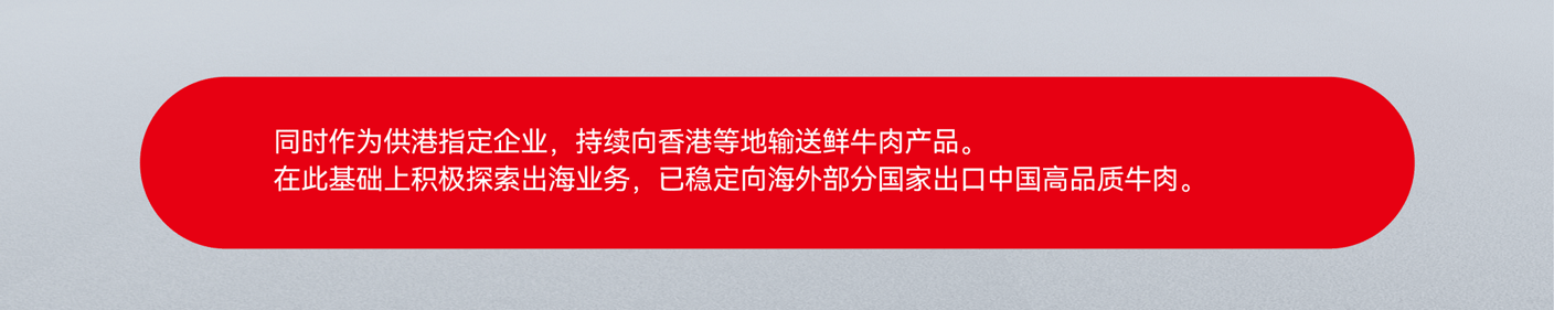 恒都招商合作项目展示