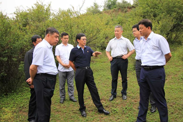 秦亚良董事长介绍牛肉市场情况方山代县长李溢涛要求项目招商负责人